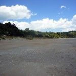 Isla de Waiheke