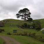El pueblo de los Hobbits en Nueva Zelanda