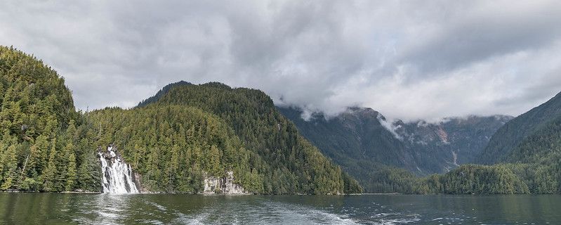 Great bear rainforest