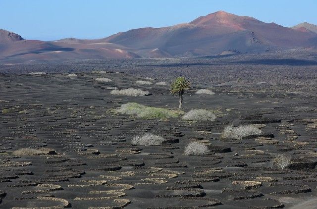 La Geria (Tenerife)