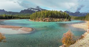 Icefields