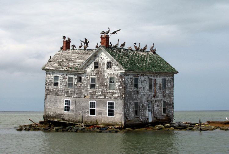 Chesapeake-holland Chesapeake holland