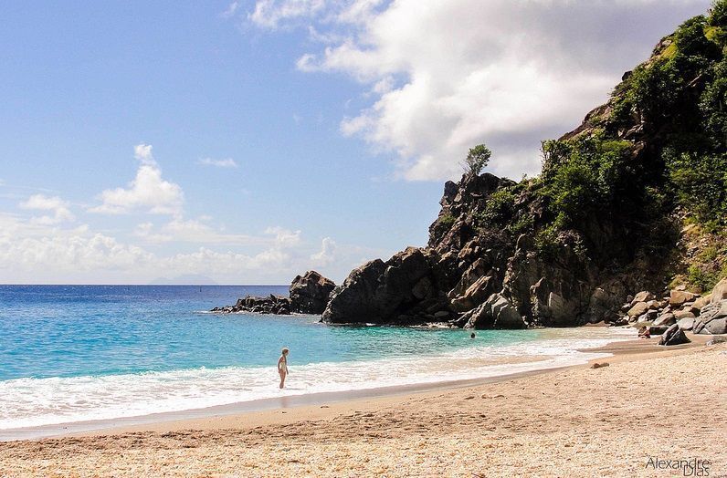 Shell Beach