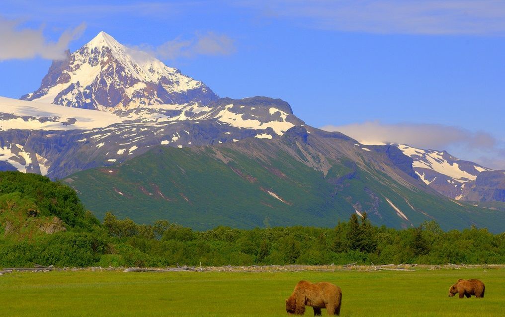 Katmai Alaska