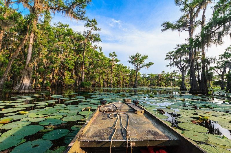 Caddo Lake
