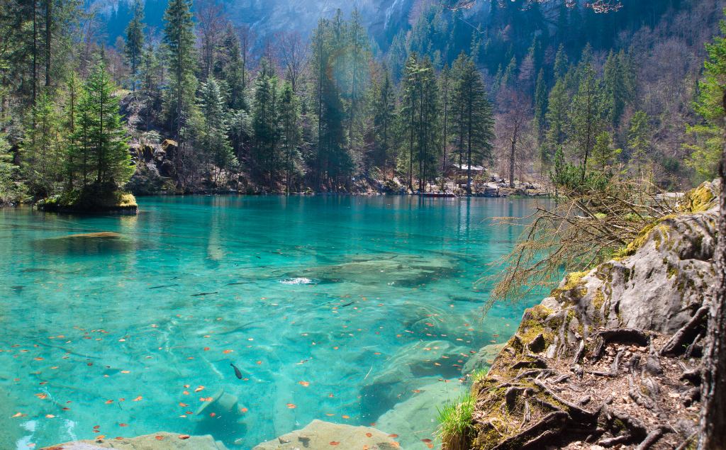 Blausee-Suiza