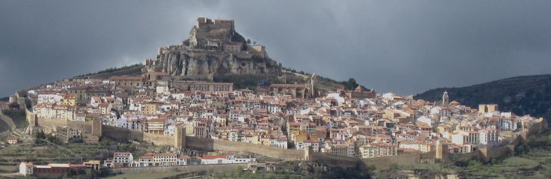 Morella