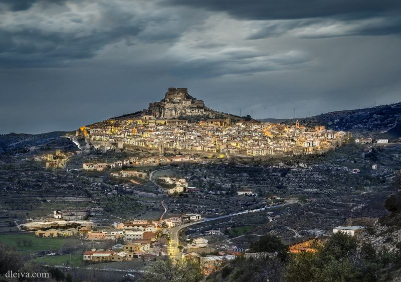 Morella