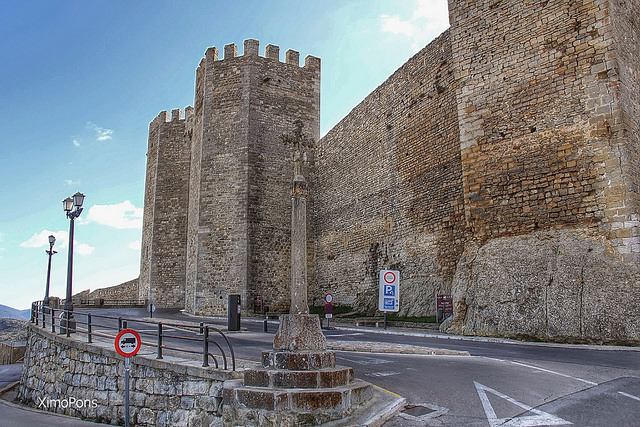 Morella