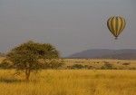 Serengeti