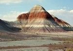 Petrified Forest