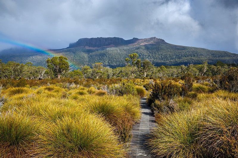Overland track (Tasmania)