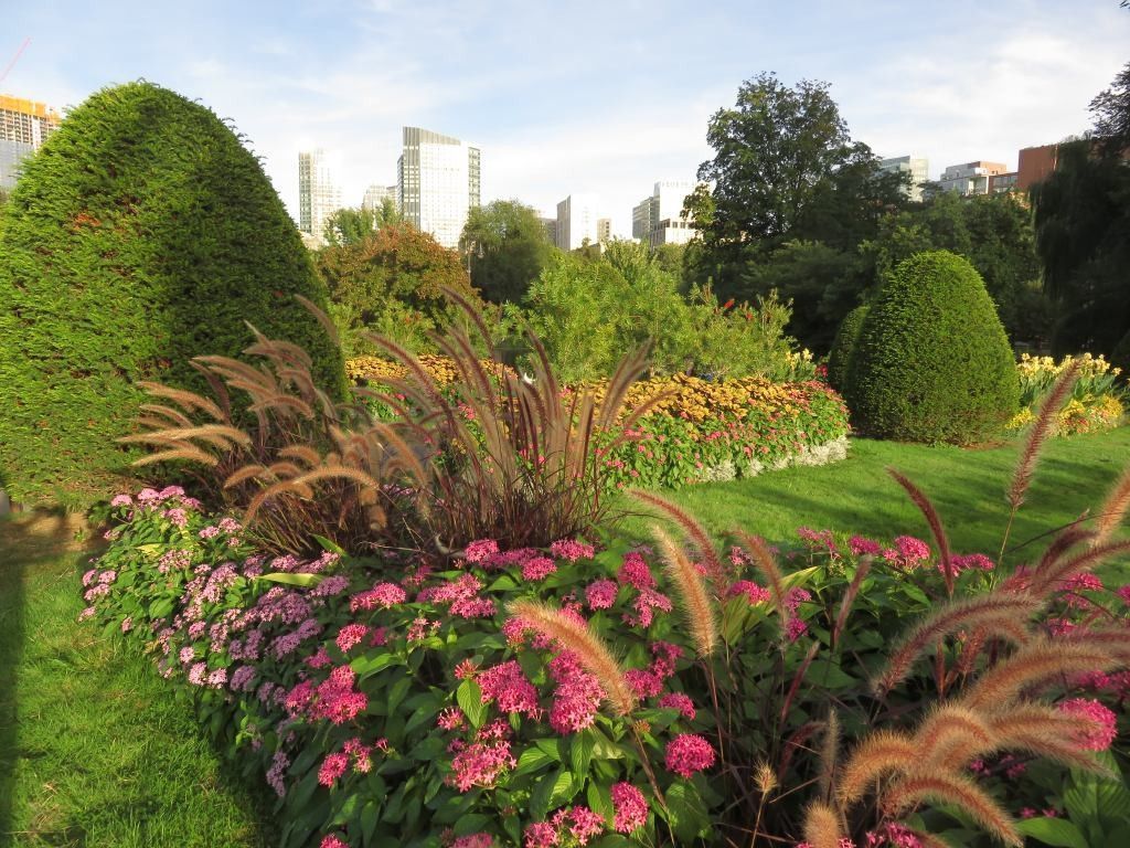 Public garden Boston