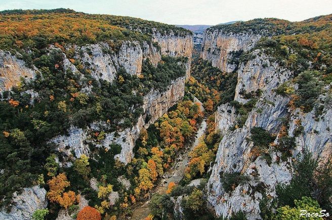 Navarra