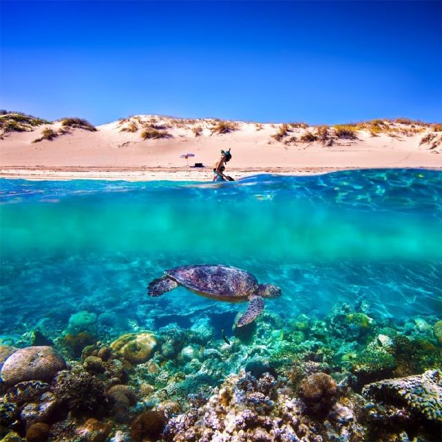 Ningaloo Australia