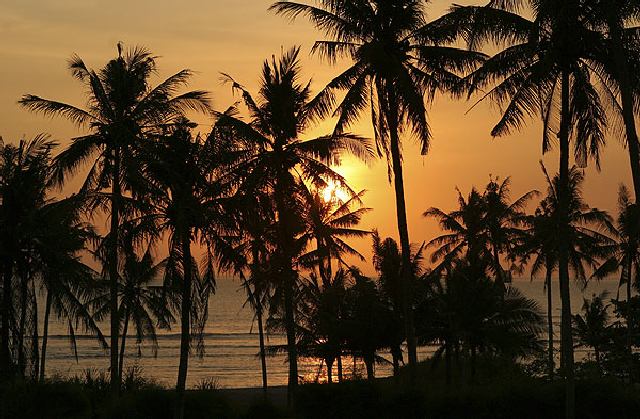 Canggu