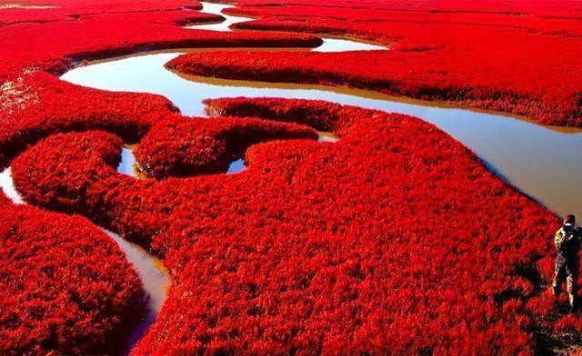Red-Sea beach