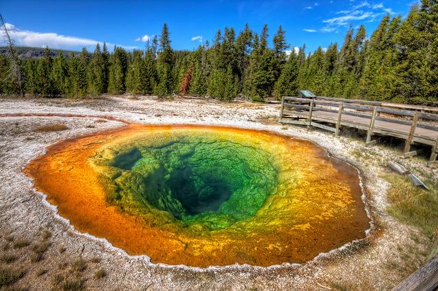 Morning Glory Pool