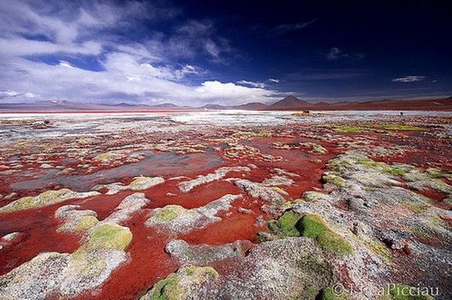 Bolivia