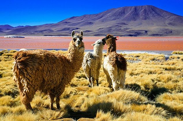 Bolivia