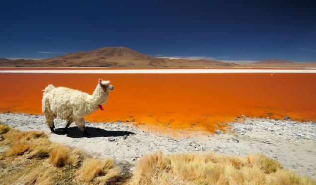 Bolivia