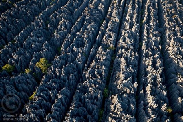 Tsingy de Bemaraha National Park, Madagascar.