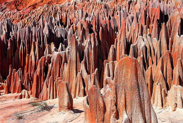 Tsingy de Bemaraha National Park, Madagascar.