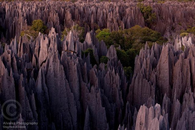 Tsingy de Bemaraha National Park, Madagascar.