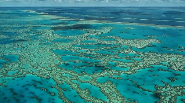La Gran Barrera de Coral (Australia)