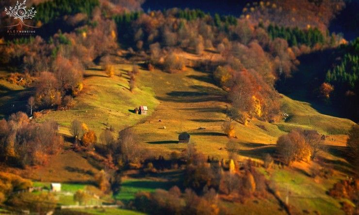 Rumania