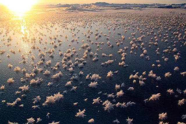 Lagos helados de la Antártica