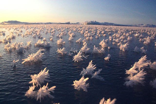 Lagos helados de la Antártica