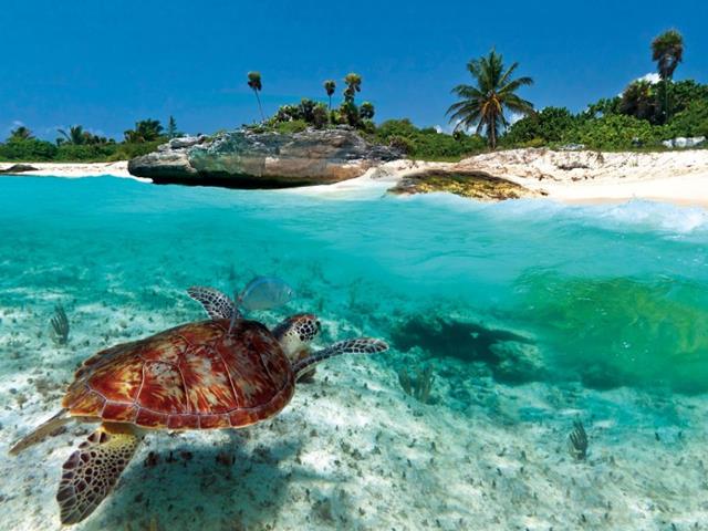 Islas preciosas del Caribe