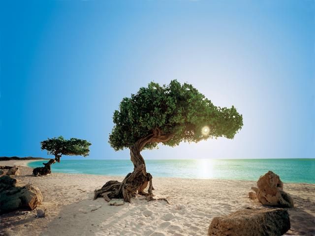 Islas del Caribe