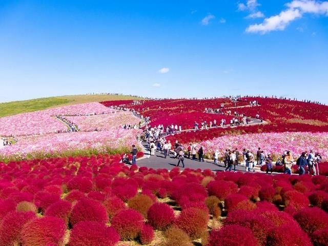 Parque nacional de Hitachi (Japón)