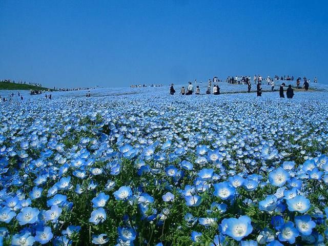 Parque nacional de Hitachi (Japón)
