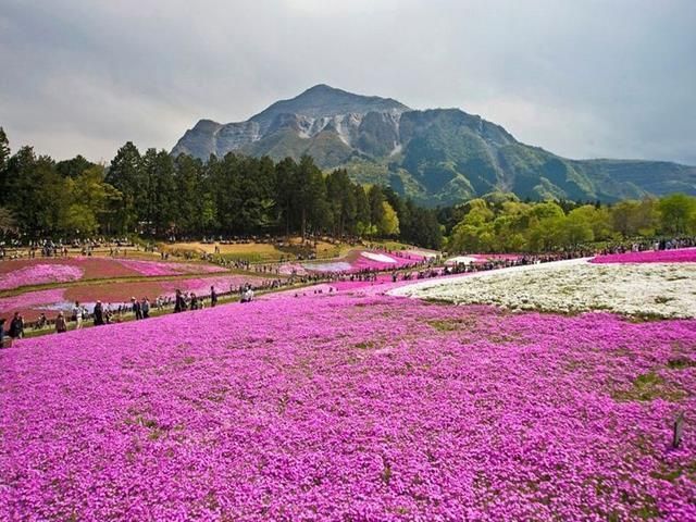 Parque nacional de Hitachi (Japón)