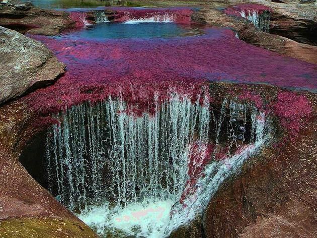 El Río de los 5 colores (Colombia)