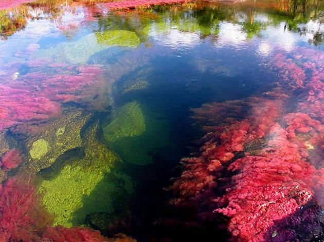 El Río de los 5 colores (Colombia)