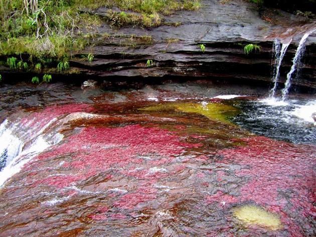 El Río de los 5 colores (Colombia)