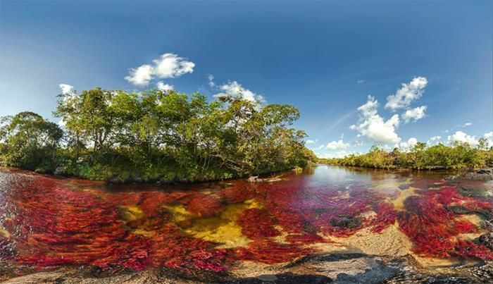 El Río de los 5 colores (Colombia)