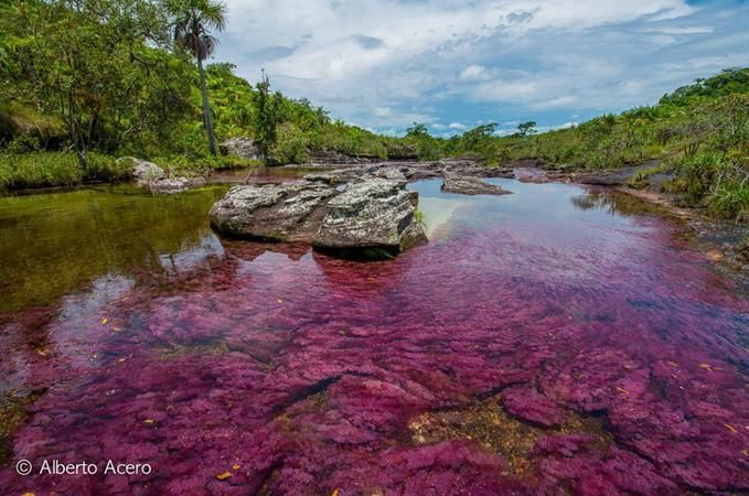 El Río de los 5 colores (Colombia)