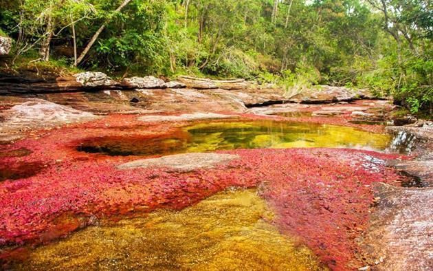 El Río de los 5 colores (Colombia)