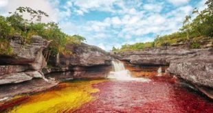 Caño Cristales (Colombia)