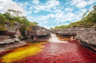 Caño Cristales (Colombia)