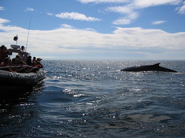 Golfo de San Lorenzo, Canadá