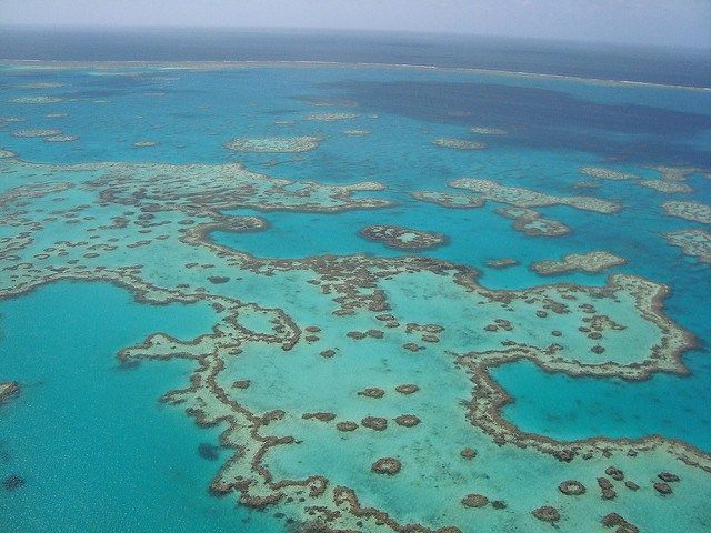 Submarinismo en la Gran Barrera de Coral