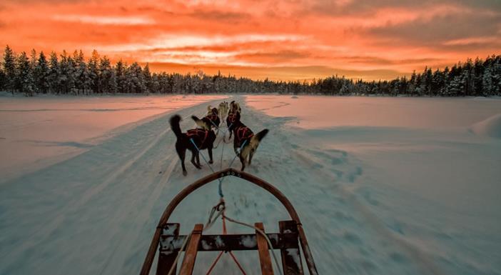excursión en trineo tirado por huskies en Laponia, Suecia