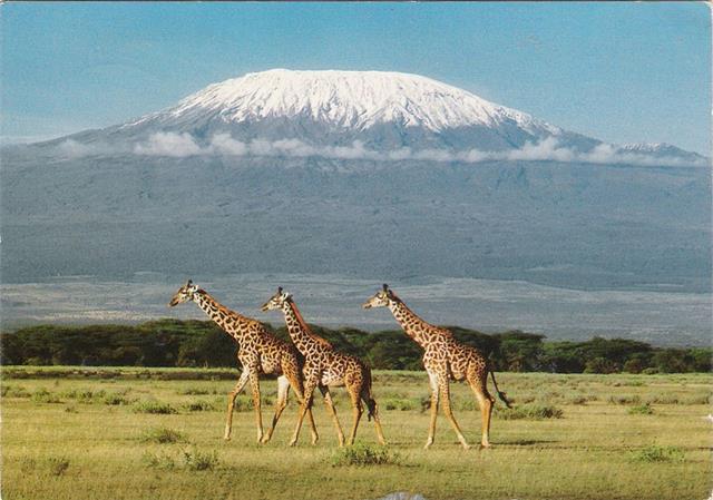 Subir Kilimanjaro en Tanzania