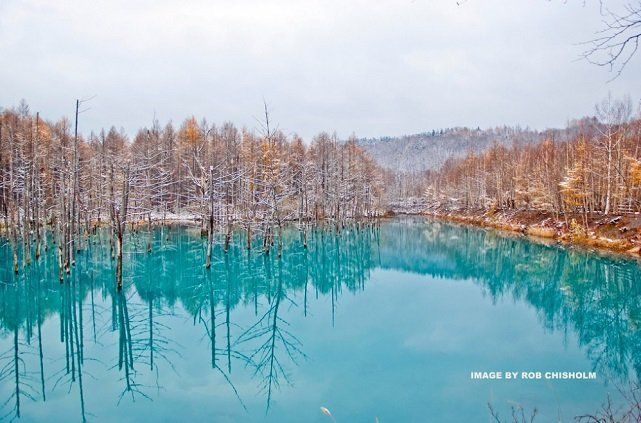 The Blue Pond, Biei, Hokkaido